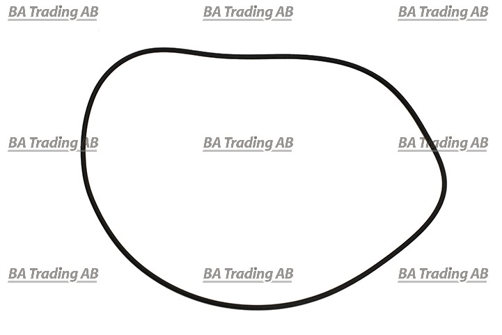 O-RING