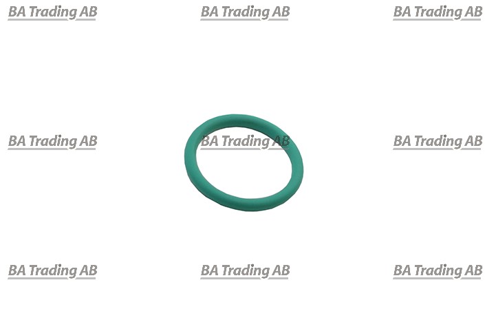 O-RING