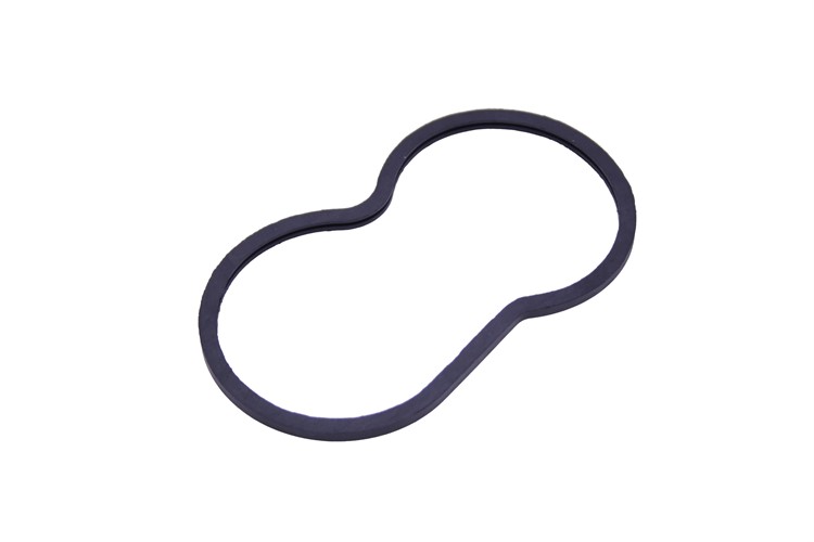 THERMOSTAT GASKET