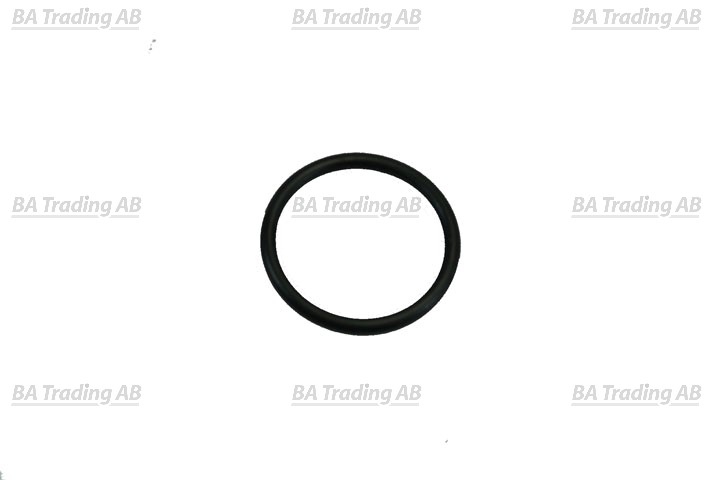 O-RING