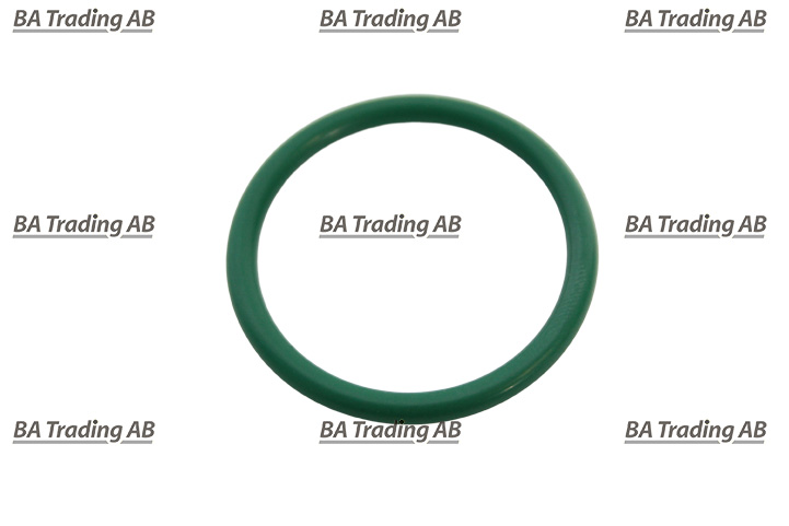 O-RING