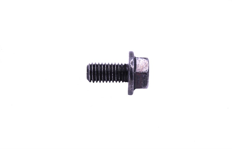 FLANGE SCREW