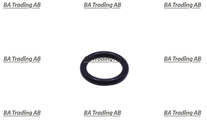 O-RING