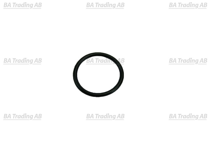 O-RING