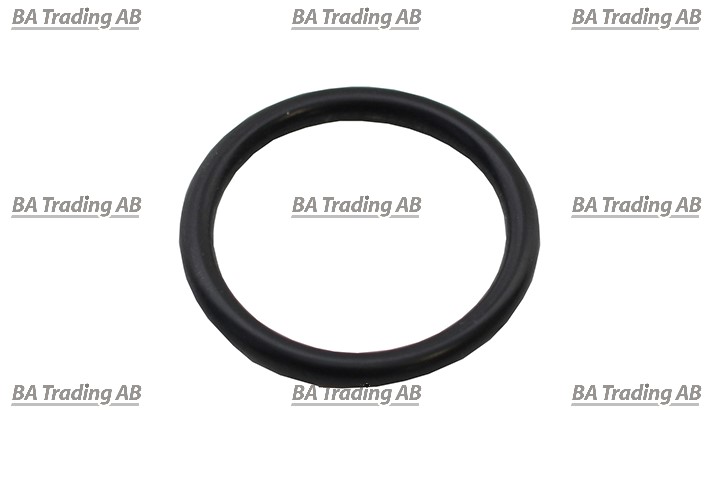 O-RING