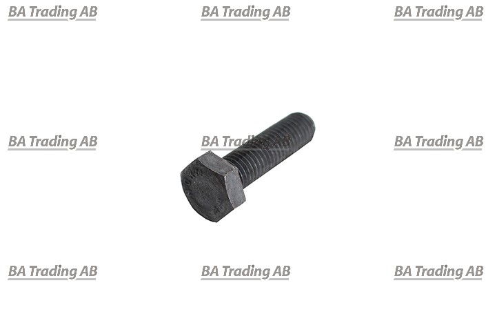 FLANGE SCREW