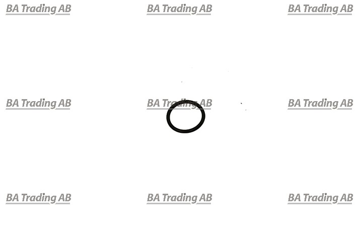 O-RING