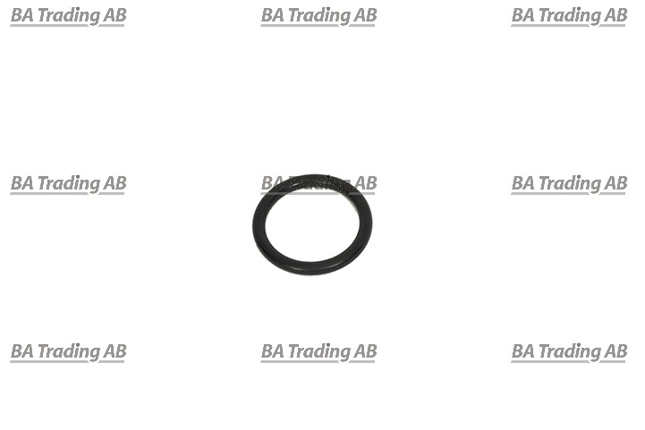 O-RING